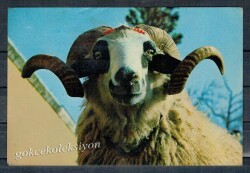 Koç Kartpostalı KRT2672 - Gökçekoleksiyon