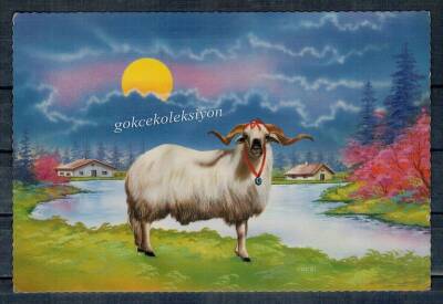 Koç Temalı Kartpostal KRT4478 - 1
