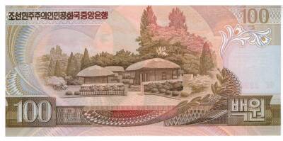 Kore 100 Won 1992 Çil YKP2999 - 2