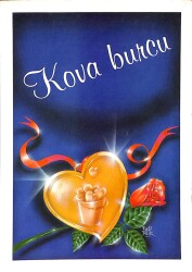Kova Burcu Kartpostal KRT15409 - Gökçekoleksiyon