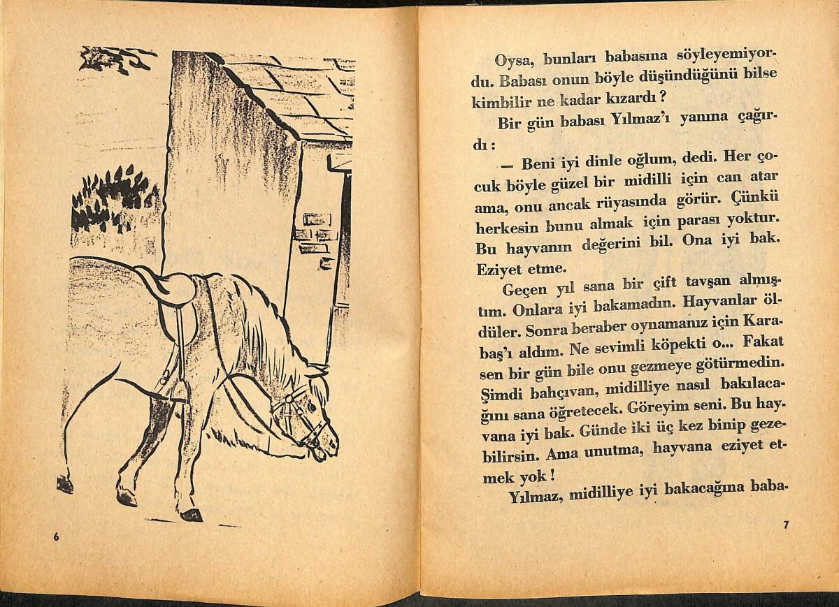 Küçük Midilli NDR100157 - 2