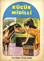 Küçük Midilli NDR100157 - 4