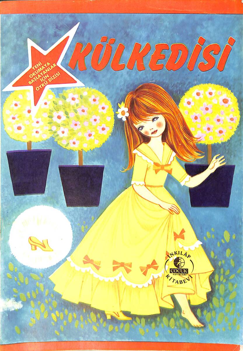 Kül Kedisi NDR101263 - 1