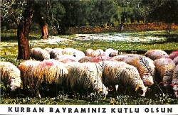 Kurban Bayramı Kutlama Kartpostal (Küçük Boy) KRT21983 - Gökçekoleksiyon