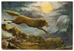 Kurt Temalı Kartpostal KRT4419 - Gökçekoleksiyon