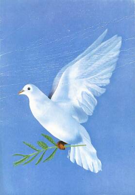 Kuş Temalı Kartpostal KRT15423 - 1