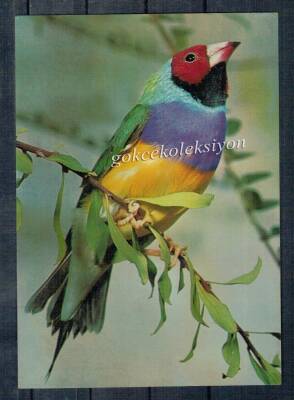 Kuş Temalı Kartpostal KRT2639 - 1