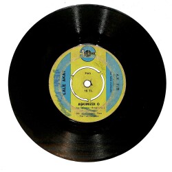 Lale Akat – Biz Böyleyiz & Aşkımızdı O Plak (10/6) PLK26797 - 2