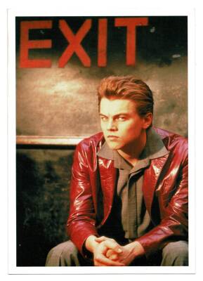 Leonardo DiCaprio Kartpostal KRT8819 - 1