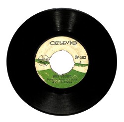 Leyla Altınses - Ahu Gözlüm Gazla Şoförüm Gazla (107) PLK15467 - 1