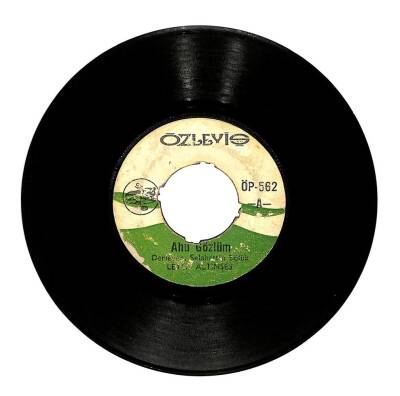 Leyla Altınses - Ahu Gözlüm Gazla Şoförüm Gazla (107) PLK15467 - 1