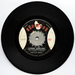 Leyla Dinç - Çok Toysun (107) PLK5115 - 2
