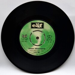 Leyla Nur - Kadeh Arkadaşıyız PLAK PLK3740 - 1