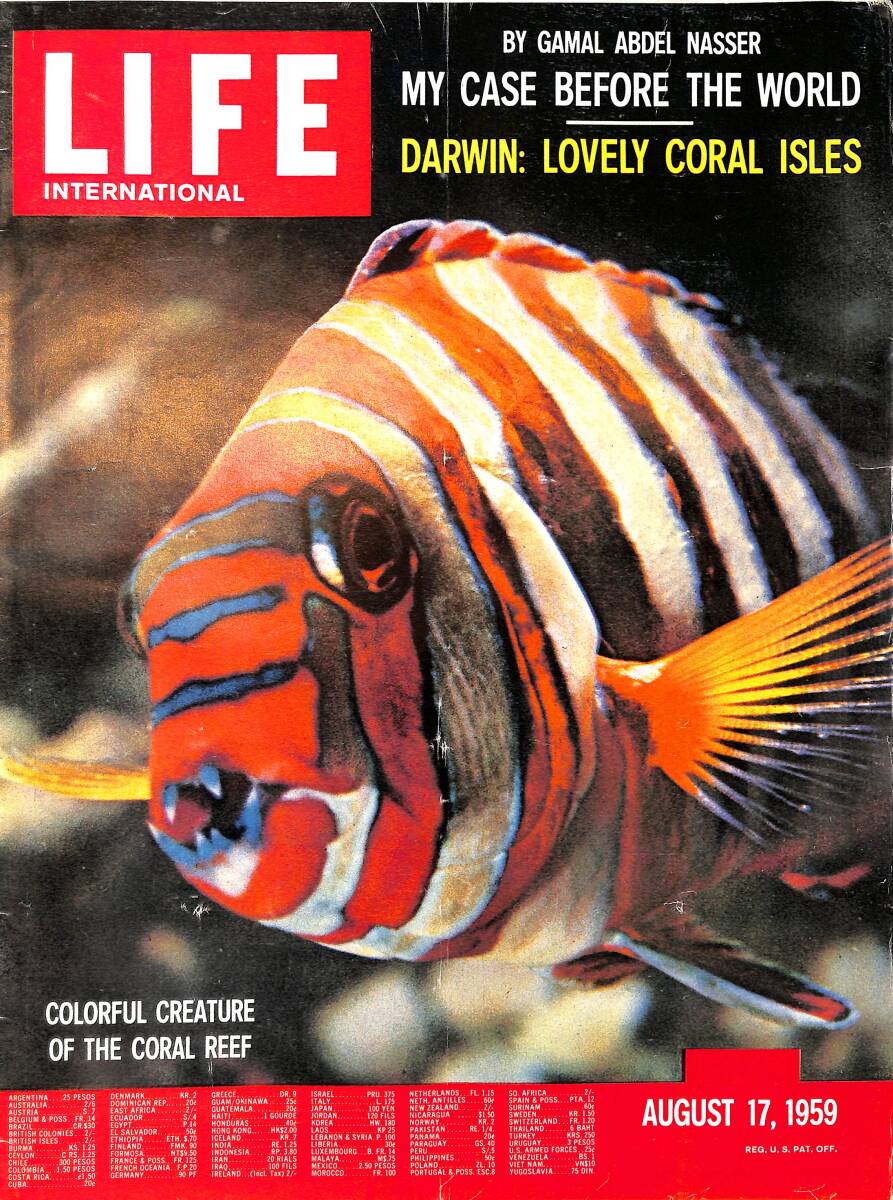 Life Magazine – August 17, 1959 – International Edition – Gamal Abdel Nasser - U.S. Men, U.S.S.R. Girls First In Track NDR100324 - 1