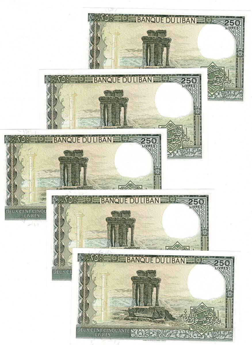 Lübnan 1988 Yılı 250 Lira (5 Adet) - ÇİL YKP8796 - 2