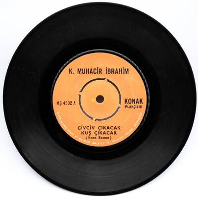 M. Muhacir İbrahim - Civciv Çıkacak Kuş Çıkacak (107.5) PLK6113 - 2