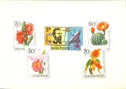 Macaristan 1970’ler – Magyar Posta Çiçek & Kaktüs Pulları – Orijinal Sunum Kartı (Tam Seri) PPT2345 - 2