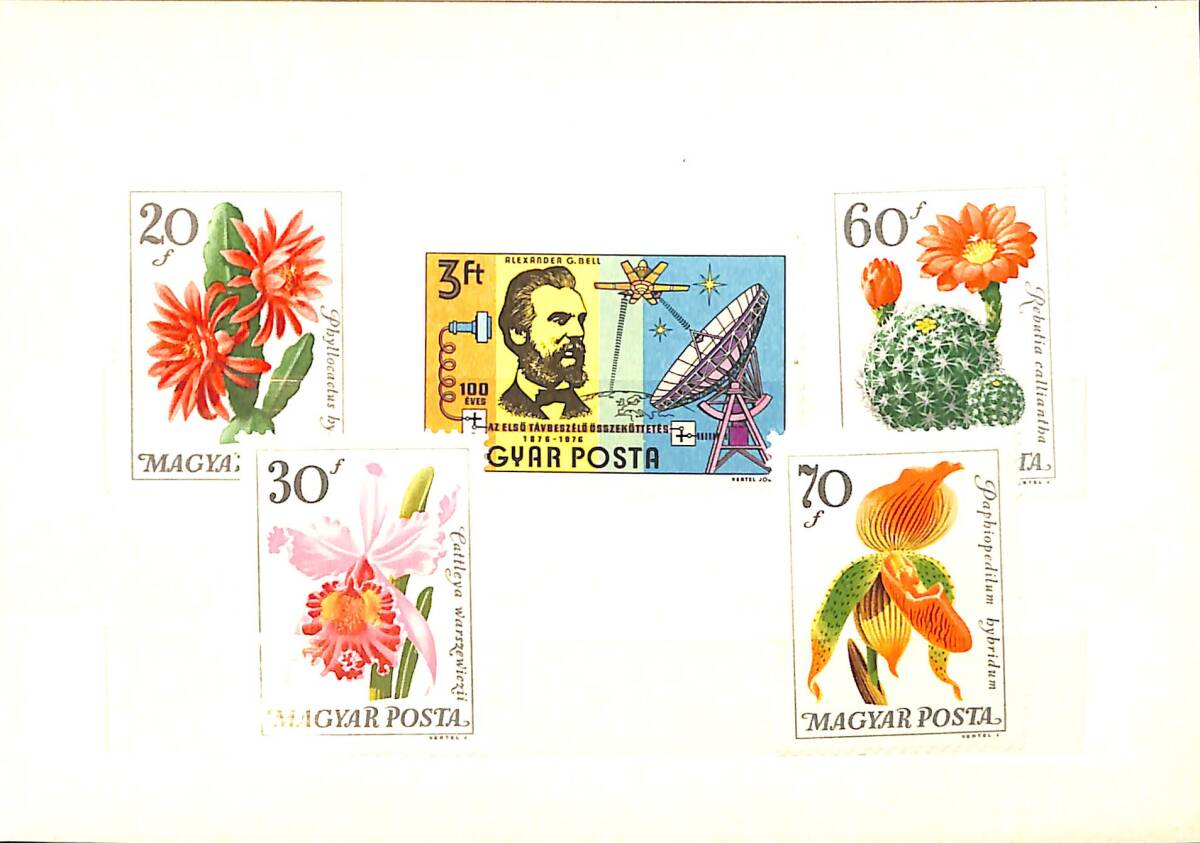 Macaristan 1970’ler – Magyar Posta Çiçek & Kaktüs Pulları – Orijinal Sunum Kartı (Tam Seri) PPT2345 - 2