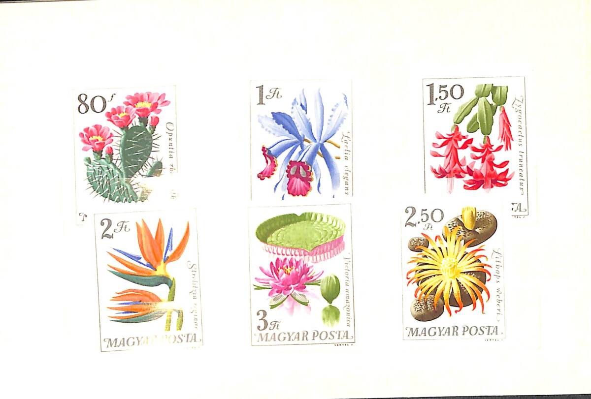 Macaristan 1970’ler – Magyar Posta Çiçek & Kaktüs Pulları – Orijinal Sunum Kartı (Tam Seri) PPT2345 - 3