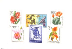 Macaristan (Magyar Posta) 1965–1966 Çiçek & Kaktüs Temalı Hatıra Pul Seti – Damgasız, Orijinal Sunumlu PPT2347 - 2