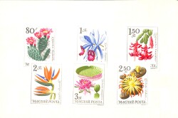 Macaristan (Magyar Posta) 1965–1966 Çiçek & Kaktüs Temalı Hatıra Pul Seti – Damgasız, Orijinal Sunumlu PPT2347 - 3