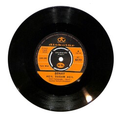 Şenay - Açıl Susam Açıl / Ve Ağlıyorum Plak (10/8) PLK24317 - Gökçekoleksiyon