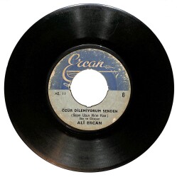 Ali Ercan - Özür Dilemiyorum Senden / İyiler Kötüye Düşer Plak (10/5) PLK25124 - Gökçekoleksiyon