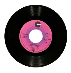 Sister Sledge - Easier To Love / We Are Family (10/7.5) PLK24391 - Gökçekoleksiyon