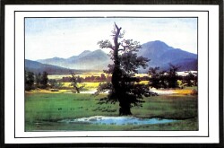 Manzara - Ağaç Temalı Kartpostal KRT12663 - Gökçekoleksiyon