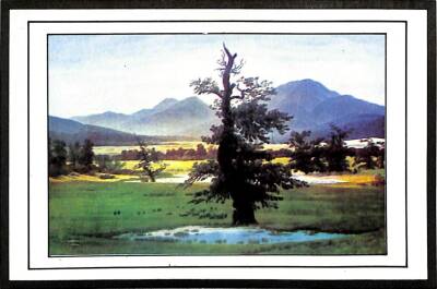 Manzara - Ağaç Temalı Kartpostal KRT12663 - 1