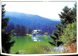 Manzara - Bolu Abant Temalı Kartpostal KRT12688 - Gökçekoleksiyon