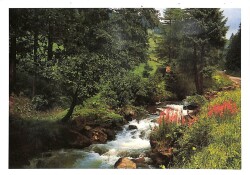 Manzara - Dere Temalı Kartpostal KRT12683 - Gökçekoleksiyon