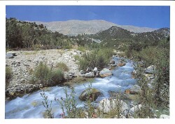 Manzara - Dere Temalı Kartpostal KRT12684 - Gökçekoleksiyon