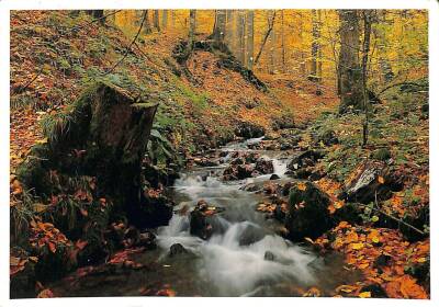 Manzara - Dere Temalı Kartpostal KRT12698 - 1
