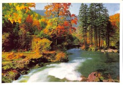 Manzara - Doğa Ve Dere Temalı Kartpostal KRT12670 - Gökçekoleksiyon