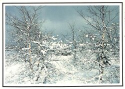 Manzara - Kar Temalı Kartpostal KRT12682 - Gökçekoleksiyon