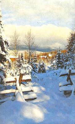 Manzara - Kış Temalı Kartpostal KRT12851 - 1