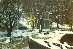 Manzara - Kış Temalı Kartpostal KRT12863 - Gökçekoleksiyon