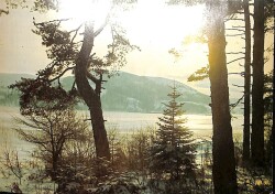 Manzara- Kış Ve Deniz Kartpostal KRT12766 - Gökçekoleksiyon