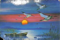 Manzara - Ördek Ve Sandal Temalı Kartpostal KRT12709 - Gökçekoleksiyon