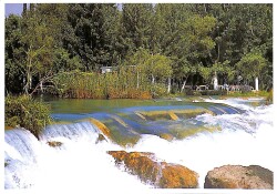 Manzara - Şelale Temalı Kartpostal KRT12686 - Gökçekoleksiyon