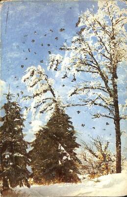 Manzara - Simli Kış Temalı Kartpostal KRT18310 - 1