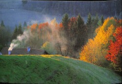 Manzara - Sonbahar Temalı Ev Kartpostal KRT12652 - Gökçekoleksiyon