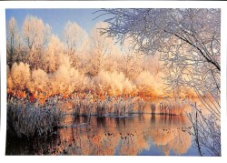 Manzara - Sonbahar Temalı Kartpostal KRT12673 - Gökçekoleksiyon