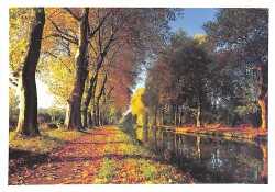 Manzara - Sonbahar Temalı Kartpostal (Küçük Boy) KRT12674 - Gökçekoleksiyon