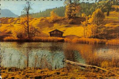 Manzara - Sonbaharda Doğa Temalı Kartpostal KRT12635 - 1