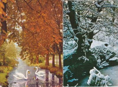 Manzara Temalı 2li Kartpostal KRT10728 - 1