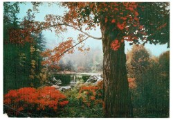 Manzara Temalı Büyük Boy Kartpostal KRT9138 - Gökçekoleksiyon