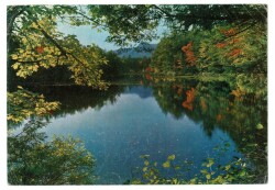 Manzara Temalı Büyük Boy Kartpostal KRT9225 - Gökçekoleksiyon