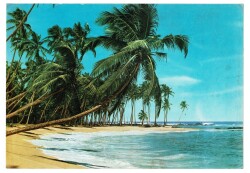 Manzara Temalı Büyük Boy Kartpostal KRT9229 - Gökçekoleksiyon